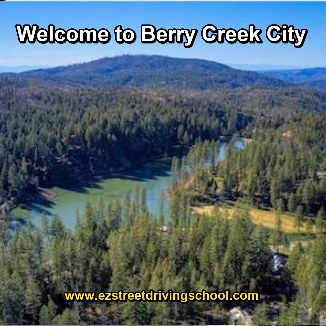 Driving Lessons in Berry Creek
